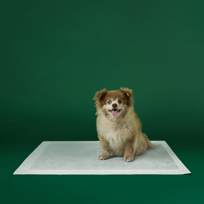 Disposable Dog Pee Pads with AbsorbShield+ Technology H9